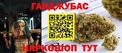 гашик Кингисепп