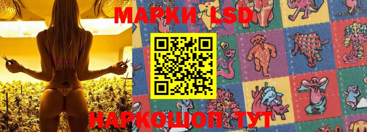 Наркотические марки  Вход с VPN  Марки NBOMe 1,5мг  Владимир  Марки NBOMe 1,5мг 