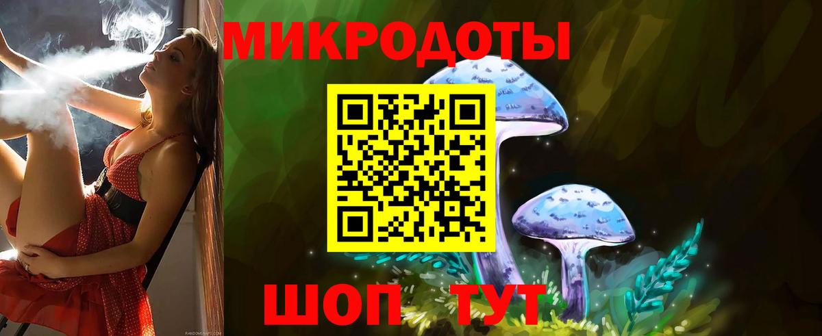 Владимир  Псилоцибиновые грибы GOLDEN TEACHER  Вход с VPN 